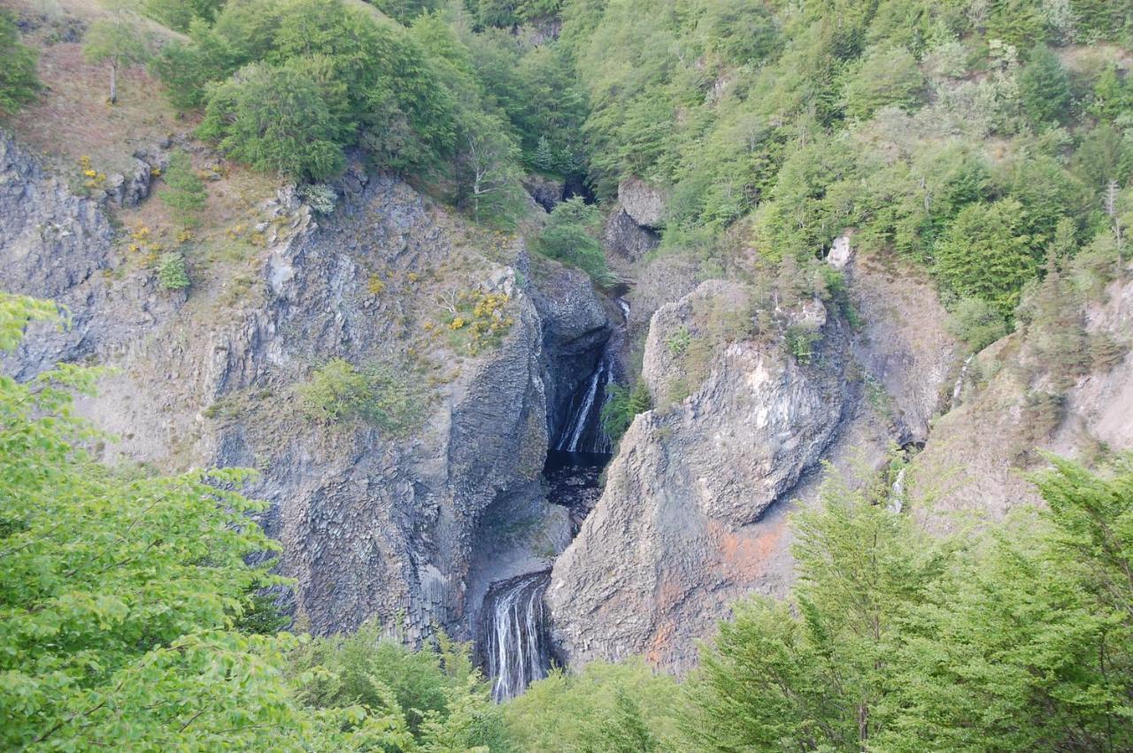 Hotel Des Cevennes Mezilhac Екстериор снимка